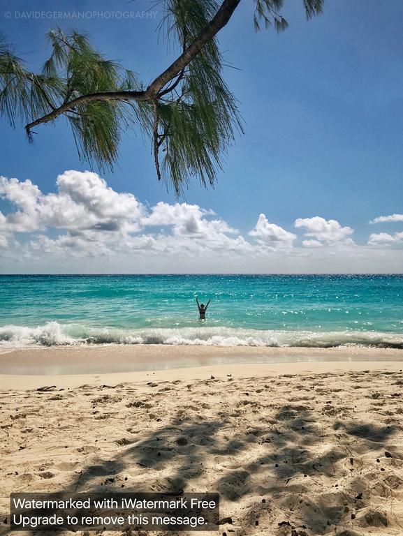 Appartamento 230 Gg Rockley Barbados Bridgetown Esterno foto